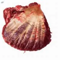 Fresh Beef Cheek Meat Small