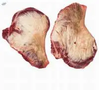 Fresh Beef Cheek Meat