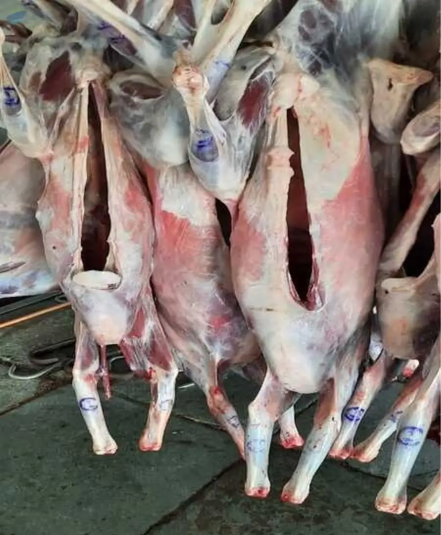Mutton