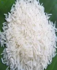 Pusa 1401 White Raw Basmati Rice