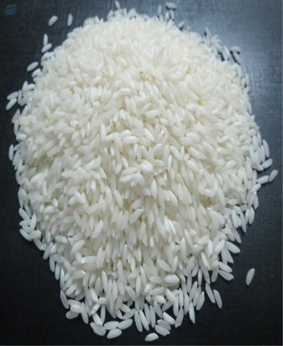 Sona Masoori Steam Non Basmati Rice by Pixon Overseas. Supplier from