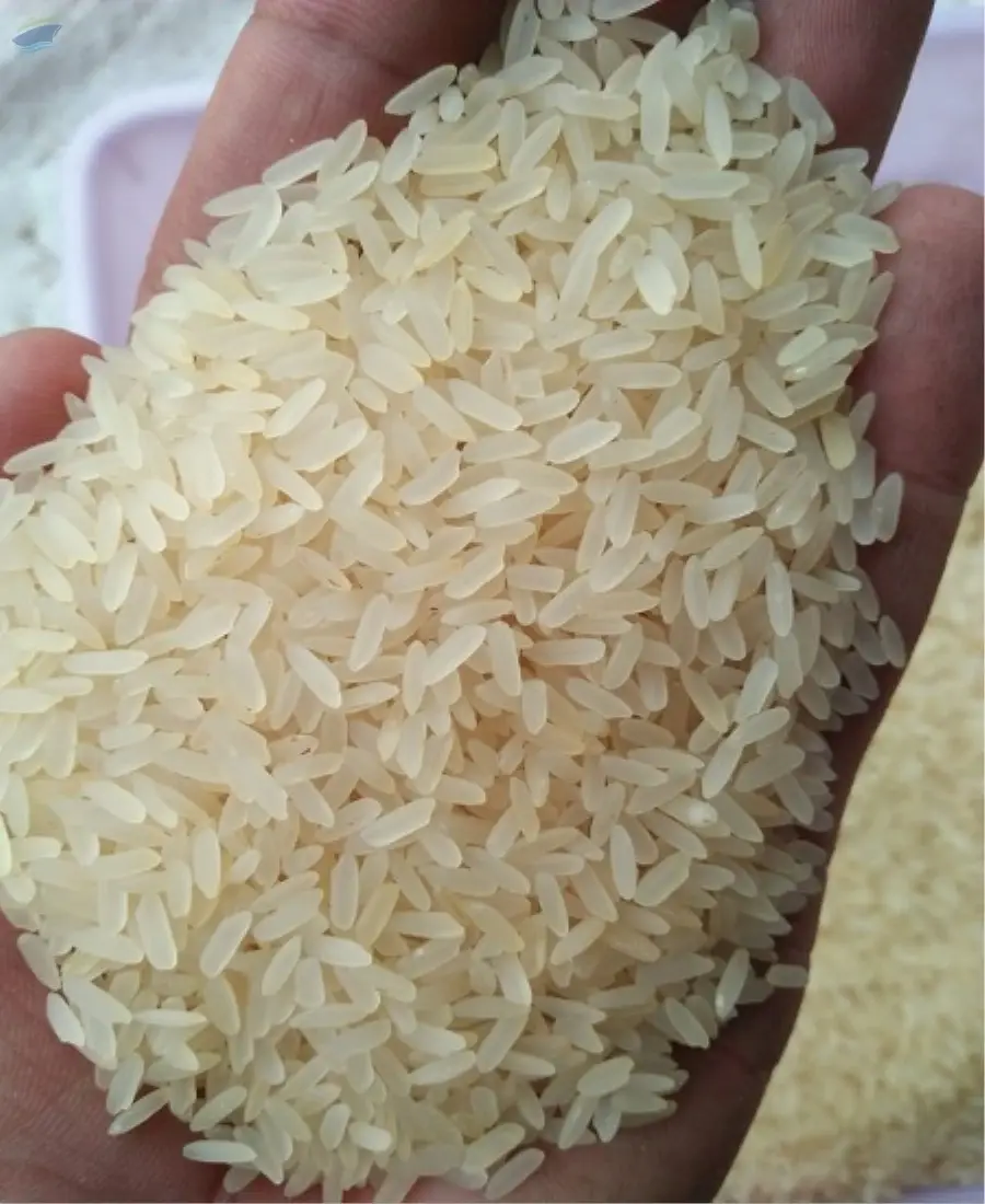 IR64 Parboiled 5% Broken Non Basmati Rice