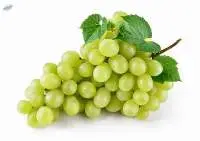 Fresh Grapes