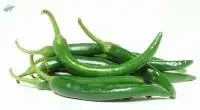 Fresh Hot Green Chilli
