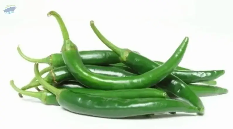 Fresh Hot Green Chilli