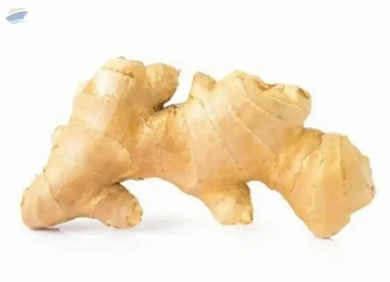 Fresh Quality Ginger
