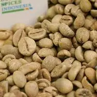 Green Coffee Bean Java Robusta - After Polish