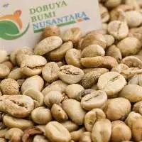 Java Robusta Green Coffee Bean Grade 2