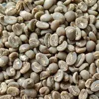 Arabica Gayo Aceh Green Coffee Bean : G1