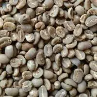 Sumatra Mandheling Arabica Coffee Bean : G1