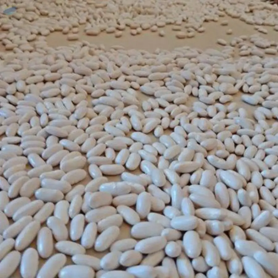 White Kidney Beans