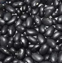 High Quality Black Kidney Bean
