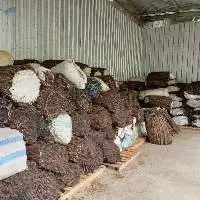Dried Cinnamon