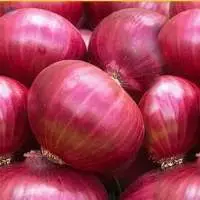Red Onions , Onion
