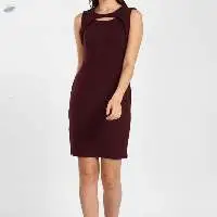 Ladies Or Womens Dress