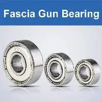 Fascia Gun Bearing