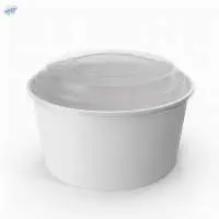 Paper Salad And Food Bowl Food Tub