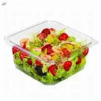 Leakproof Hinged Pet Plastic Container