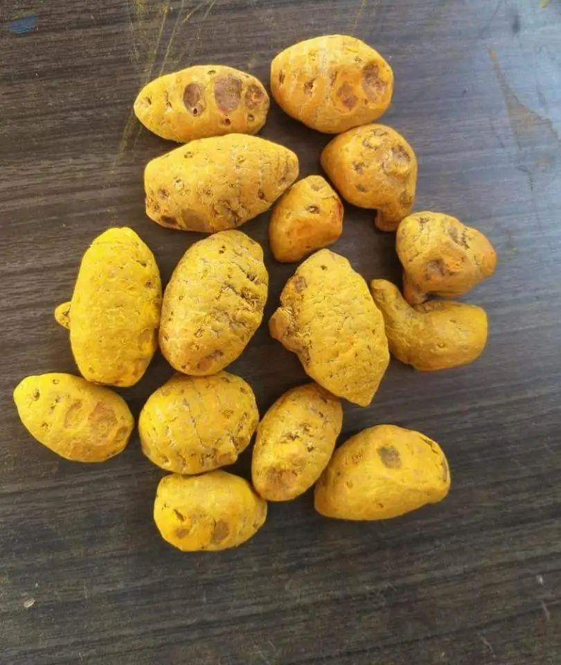 Bulb Turmeric/Gatta Turmeric/Round Turmeric