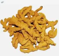 Finger Turmeric/Indian Turmeric