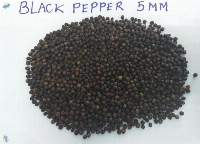 Black Pepper