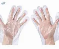 Food Service Gloves