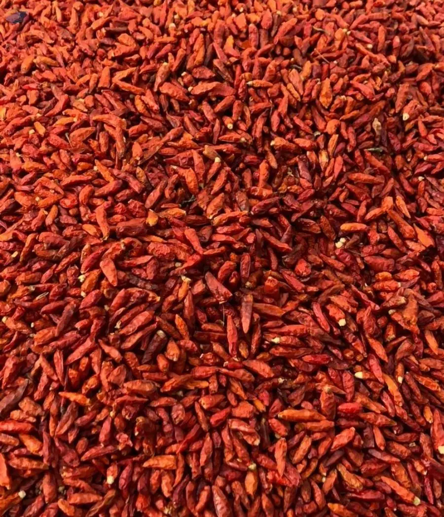 African Birds Eye Chilies