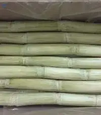 Fresh / Frozen Sugarcane