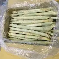 Frozen Sugarcane