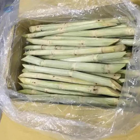 Frozen Sugarcane