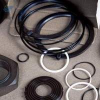 Steering Box Repair Kits