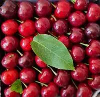 Fresh Cherry