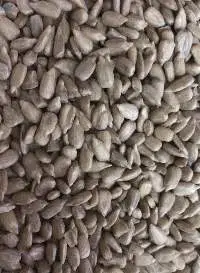 Sunflower Seeds