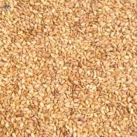 Sesame Seeds