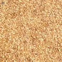 Sesame Seeds