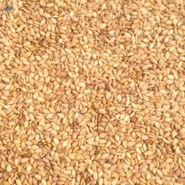 Sesame Seeds