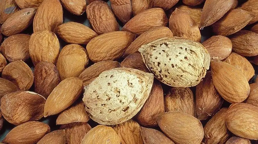 Almond