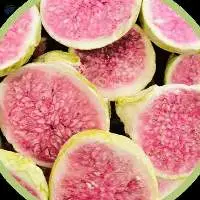 Freeze Dried Fruits and Vegetables