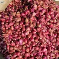 Red Onion