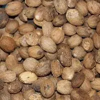 Nutmeg