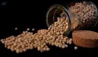 White Pepper