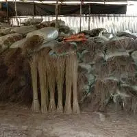 Broom Sticks