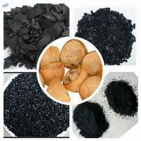 Activated Coconut Shell Carbon