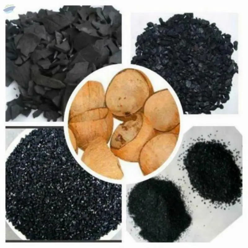 Activated Coconut Shell Carbon