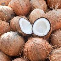De Husked Coconut