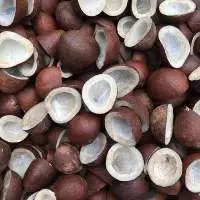 Dry Coconut