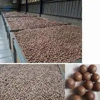 Macadamia Nuts