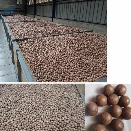 Macadamia Nuts