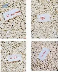 Cashews
