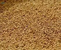 Sesame Seed (100% Pure)